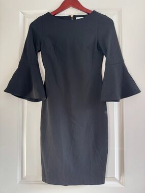Calvin Klein Petite Classy Little Black Dress with Trumpet Sleeve